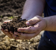 Bauckhof produziert dauerhaft CO2-neutral