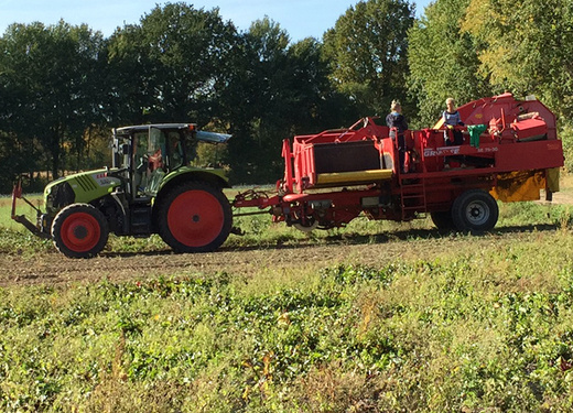 Landwirtschaft Landwirtschaft