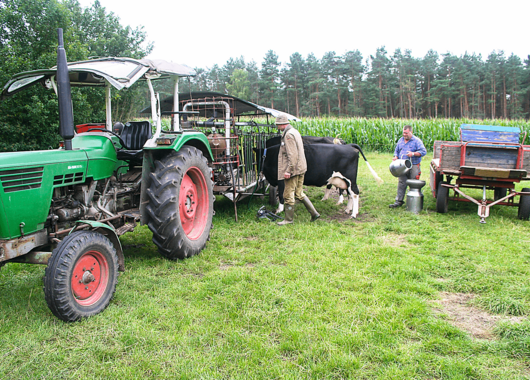 Landwirtschaft Landwirtschaft