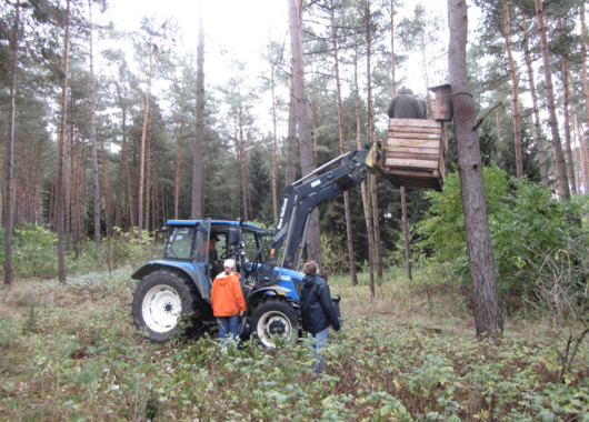 Waldbau Waldbau