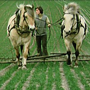 Umstellung des Hofes Stütensen auf biologisch-dynamische Landwirtschaft