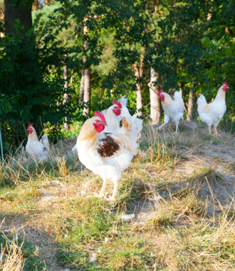 Verantwortung Verantwortung