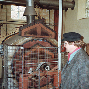Entwicklung des Thermogetreides Entwicklung des Thermogetreides